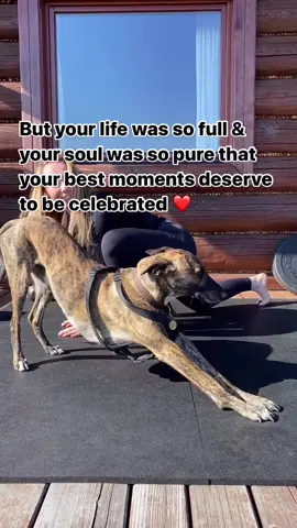 Its the hardest update ive had to post on here 💔 Ive not been on much & ive needed some time. I lost my best friend & he was only 5 ❤️ His life & spirit was full but his challenges were many. For this beautiful soul, forever wouldnt have been enough ❤️