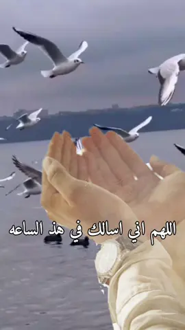 #دعاء #fyp #viral #viral