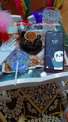 #عمرو_دياب #لوز_وسكر ❤️🐼❤️🐻❤️🥺 #وسوفيات_ابو_وديع_سلطان_الطرب 