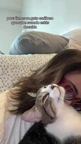 ya no lo estoy después de sse ataque de amor. #fyp #gatos #tengo4gatos #ojalaalgundiatenermas #hashtag 