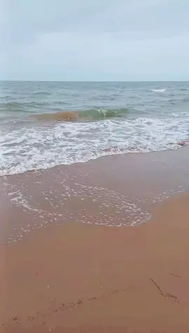 جلسة قدام البحر تريح الخاطر #المغرب🇲🇦 #الجزائر #تونس #البحر #البحر #الجالية_المغربية #مغاربة_العالم #ا #اكسبلورexplore #فوريو #foryou #viraltiktok #اكسبلور #الشعب_الصيني_ماله_حل😂😂 