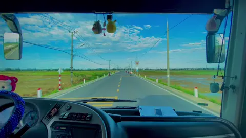 Đường vào Hội An chill quá😘#nhaxethanhthuy49 #xekhachvietnam #49B01758 