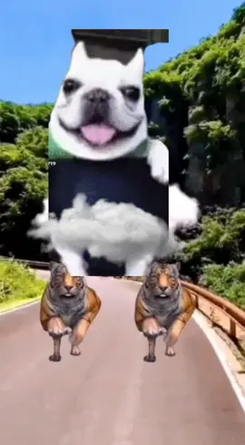#CapCut #viral #trend #fyp #edit #babylaugh #dog #Meme 