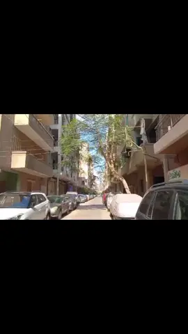 Tanta📍😍🤩 #Viral  #CapCut  #Tanta 