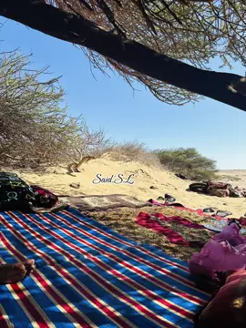 #البادية #الصحراء 