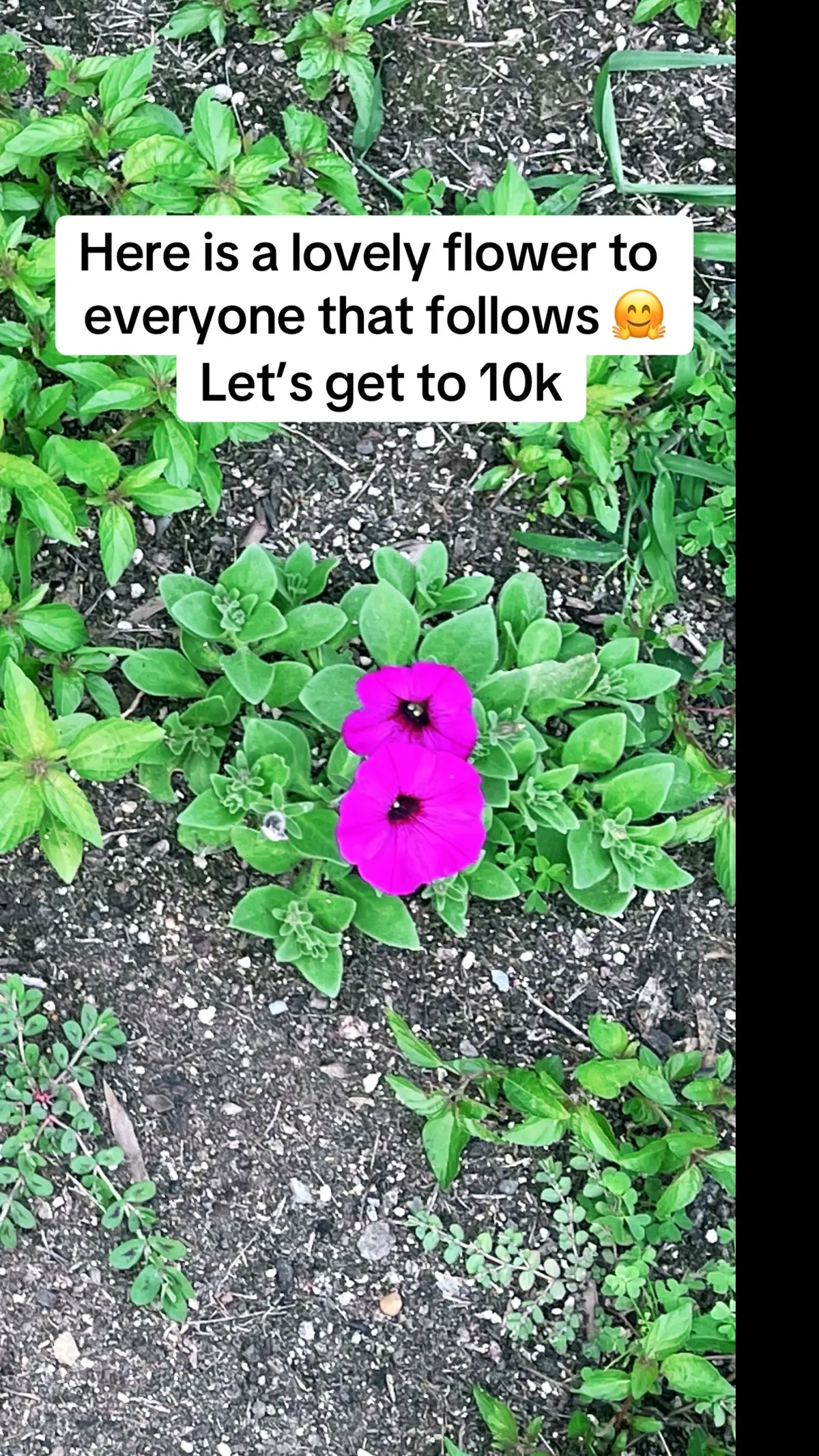 #fyp #10k #followers➕ #squadbusters #pridemonth #instagood #photooftheday  #Love #tiktok #foryoupage #viral 