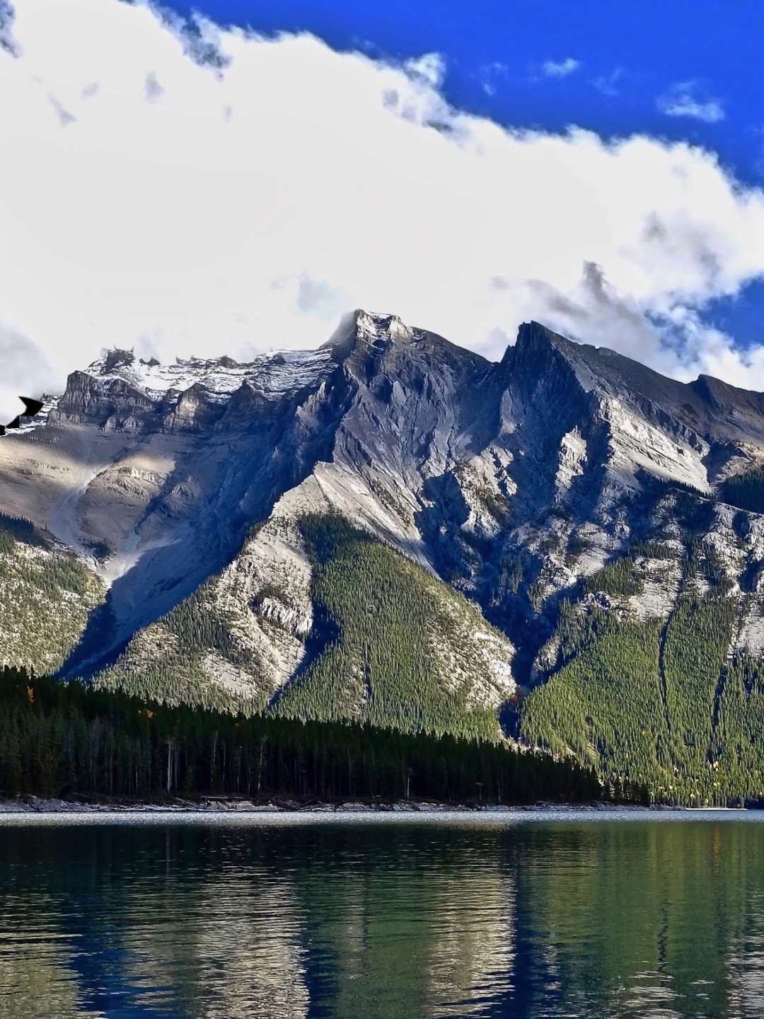 ✨ Eu simplesmente moraria neste vídeo 🎵 . . . #mountain #montanhas #natureza #nature #paraiso #snow #chillvibe #relax #peace
