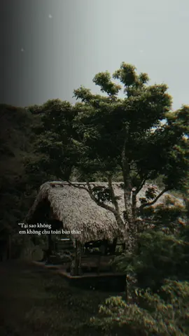 Người em thương lại chẳng một chút thương em #CapCut #tamtrang #pmtcb #lyrics #suy 