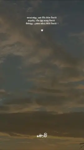 🤍 ! #moviquotes #trending #fyyyyyyyyyyyyyyyy #foryou #foryoupage #fyp #whatsappstatus #bootstatus #sinhalawadan #lovestory #music #reels #1m 