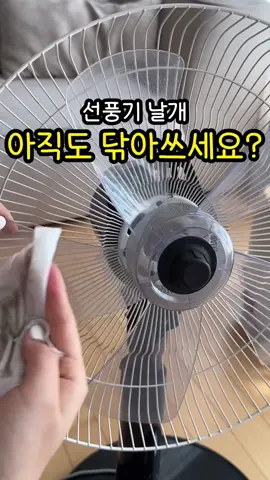 🔥공구오픈🔥 온라인 반의반값으로 준비했어요!!!! 날개없는 선풍기가 얼마나 매력적인지 구경오세요 🤍 📌 제품 정보는 프로필 하단에 링크 클릭! 또는 영상 좌측하단에 “ 지금쇼핑하기” 클릭! 또는 네이버 “오후살림” 검색 후 공동구매탭 클릭! 하세요 