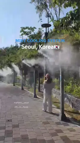 Here's one of Korea's innovative cooling mist systems that is a sight to behold! 💦🌞 These misting systems are often found in parks, streets, and even at bus stops, offering a refreshing respite from the 🌞summer heat. Fine water droplets are dispersed into the air, creating a cool, refreshing mist that helps to lower the temperature🌡 #Summer #korea  #fypシ゚viral #fyp  #koreantechnology #park #summerfun 