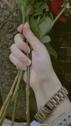 sweet girl 😍🥀  #rosevideo#trendingvideo #foryoupage #design #handvideo #trendingvideo #rosevideo #glowmyaccount💯 