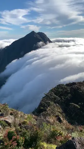 🌏#bawakaraeng2830mdpl #bawakaraeng #bulubaria #bulubaria2730mdpl #gunung #foryoupage 