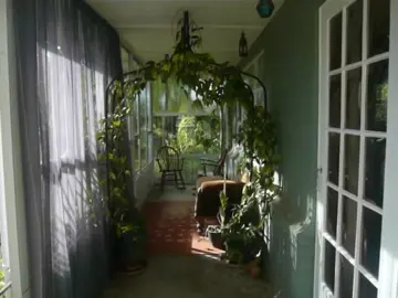 #digitalcamera #pointandshoot #digicam #memories #camcorder #videodiary #nostalgia #nature #trees #newzealand #autumn 