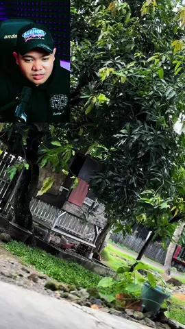 Welcome back my babyalien🥰#vixion_modifikasi #Vixion2912 #vixionroadrace #vixion150 #vixionpanglimatempur #psknvixion #fypシ゚viral #viralvideo #vixiongambotbekasi #vixiongambot 