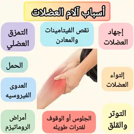 اسباب آلام العضلات #fyr #fyp #tiktok #explore #viral #foryou #tiktoklover #medicalinfo #foryoupage #foryou #fypシ゚viral #fy #لبنان #مصر #العراق #المغرب #السعودية #مصر #ليبيا #الجزائر #المغرب #العراق #تونس #فلسطين #سوريا #دبي #تركيا #مشاهير_تيك_توك#معلومات_طبيه_مفيده #الشعب_الصيني_ماله_حل #مشاهير_تيك_توك #معلومات_طبيه_مفيده 