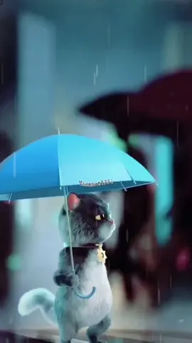 Mỗi khi nhìn mưa rơi ... anh lại buồn ... lại nhớ đến em #sad #nhactamtrang #stt_buồn_tâm_trạng #nhachaymoingay #lyrics #xuhuong 