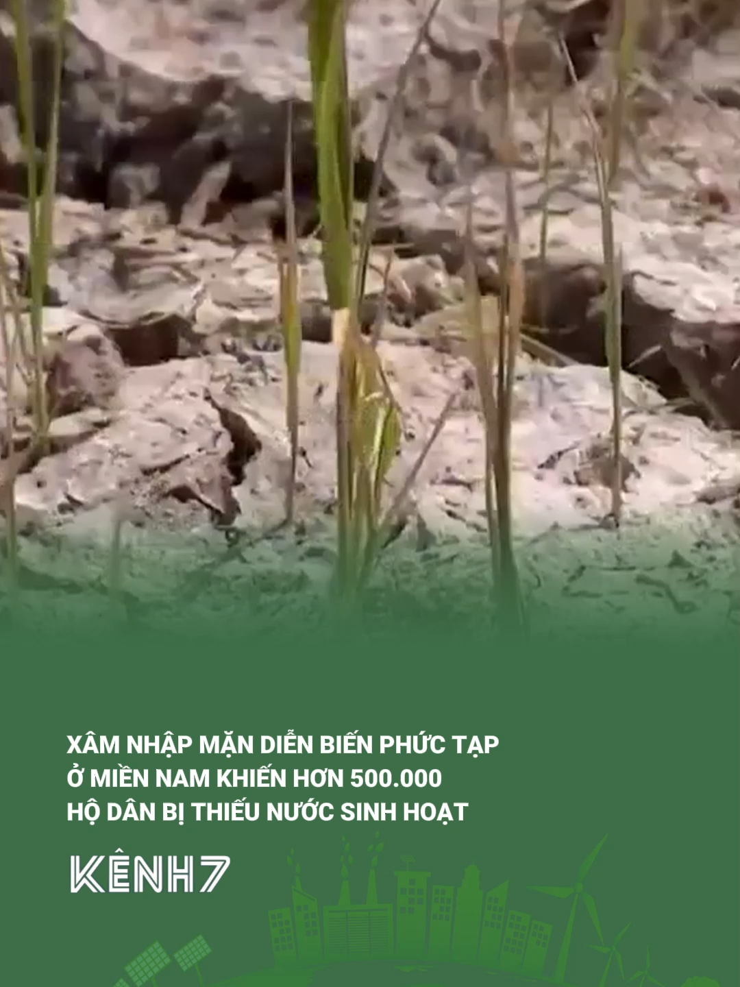 Xâm nhập mặn diễn biến phức tạp ở miền Nam khiến hơn 500.000 hộ dân bị thiếu nước sinh hoạt #quochoitv #kenh7 #kenh7green #higreen #baovemoitruong #hanman #dongbangsongcuulong #thieunuocsinhhoat