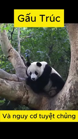 #canhdepcuathiennhien🥰 #xuhuongtiktok #xuhuong #xyzbca #vẻđẹpthiennhien 