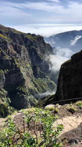 Perched atop one of Madeira's highest peaks, I find myself literally above the clouds, soaking in the island's breathtaking mountain views. I might just wait here for a little bit. Let time pass. 🌄✨  #MadeiraMagic #AboveTheClouds #MountainViews #NatureEscape #TravelMoments #HikingAdventures #IslandParadise #ScenicViews #Wanderlust #TravelPhotography #NatureLovers #AdventureAwaits #ExploreMore #TravelGoals #PeakExperience #tiktoktravel #HeavenOnEarth