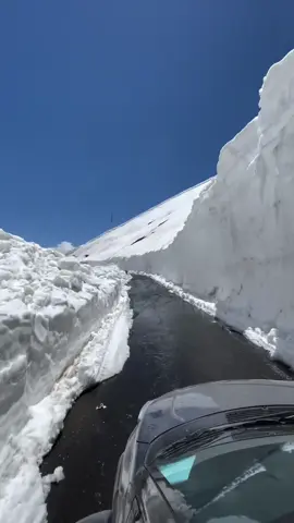 Babusar Top 🇵🇰 #babusartop #babusarpass #fyp #naran #kaghan #gilgitbaltistan #kashmir #skardu #foryoupage #foryou #viral #tiktok #viraltiktok 