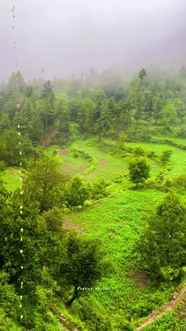 Tirah valley beautiful My Home view 🌧️📍 #tirahvalley #explore #foryoupage #barish #viralvideos #tirahbeautyview #rain #shahab_afridi313 