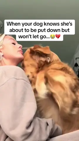 I wasn’t ready for this 😭 #dogsoftiktok #petloss 