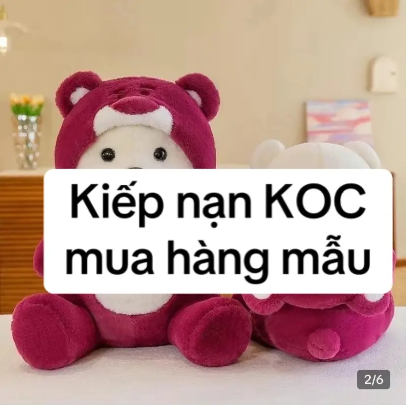 Xin 500 địa chỉ gấu xinh để mua về ôm ạ #ThuyTran #LearnOnTikTok #VTVCab #KOC