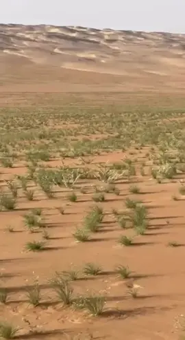 #الرمله#جفران_بن_صالح#منشد