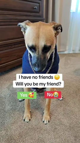 Please 🙏 #dogsoftiktok #doglovers #PetsOfTikTok #petlovers #cutedoggy #dog #fyp 