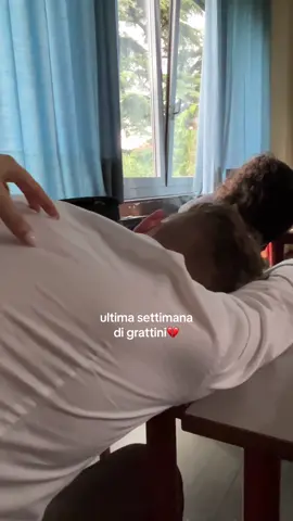 un anno così #school #fyp 