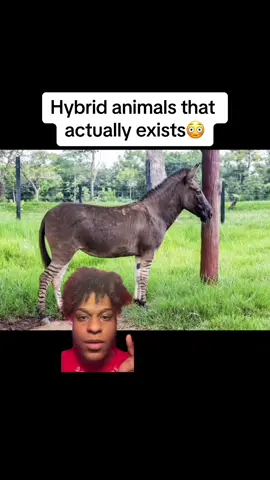 crazy😳 #fyp #foryoupage #foryourpage #xyzbca #trending #viral #foryou 