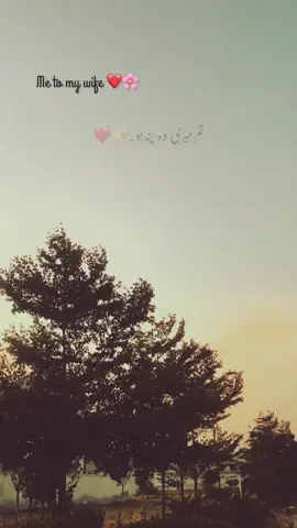 جس کے بعد اب مجھے کچھ پسند نہیں آتا۔🫶🏻#1millionaudition #viral #foryou #foryourpage #unfrezzmyacount #foryou #unfreeze #viral #foryou #tiktokpakista #foryou #viral #viralmyvideoplztiktok #foryou #fppppppppppppppppppppppp 