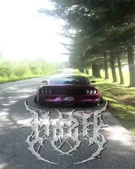 Mustang s550😮‍💨 Idea:@𓆩𝖇𝖑𝖎𝖓𝖉𝖓𝖊𝖘𝖘𓆪 / Owner:@MORROW  #recomendation #рекомендации #viral #fyp #car #edit #mustang #s550 ##gt500 #girl #girls #flashwarning 