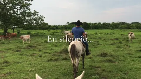 🤠🤠 #vira #amigos #arauca #parati #llanera #llano #criollo #sabanasdelarauca 