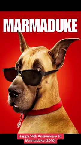Happy 14th Anniversary To Marmaduke (2010) #marmaduke #marmaduke2010 #marmadukemovie #14thanniversary #happy14thanniversary