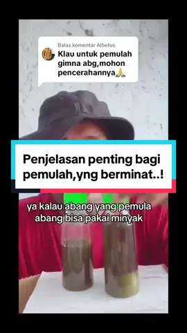 Membalas @Albetus pencerahan bagi,pemula yng berminat,minyak oles&daun bungkus alvino#yanglagiviralsekarang#daunbungkuspapua☘️😁  #minyakolesalvino  #obatkuat🤪😂  #herbalalami  #masukberandafyptiktok#fyp