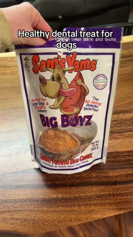 Henry loves these sams yams sweet potato chewz from @FrontPorchPets #creatorsearchinsights #healthydogtreat #dogtreats #dentalchew 