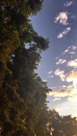 Hidup ini butuh ketenangan #foryou #fyp #sunset #vibeskampung #senja #senjasorehari #estetikcapcut #sunsetlover #senjasorehari #sunsetvibes 