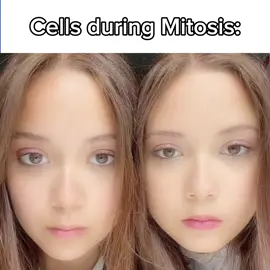 i thought this was funny…  || #laufey #junia #jazz #twins #cell #mitosis #biology #funny #meme || @laufey @Junia 