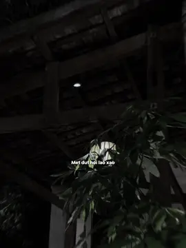 Một tình yêu bao la như một lời yêu… #taos_ig20 #lunyentertainment 