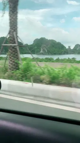 Có những vết thương đã lành nhưng vẫn để lại sẹo,và có những kí ức tuy đã xoá mờ nhưng mãi là nỗi đau ☺️