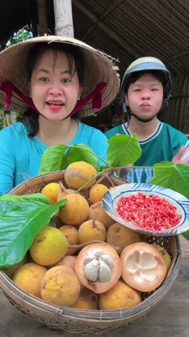Mukbang Măng Cụt Rừng, Trái Xâu Miền Tây#sautivi #sautivivàbimbim #mcv #traixau #mangcut 