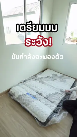 เห็นม้วนเล็กๆแบบนี้ ที่นอนพองแล้วหนา ใหญ่มากกก 😱🎉   #SolomonMattress #ที่นอนโซโลม่อน #ที่นอนโรงแรม #ที่นอนอัดสุญญากาศ #ที่นอนPluto #ที่นอนSolomon #ที่นอน #สูญญากาศ #อัดสุญญากาศ #ที่นอนโรงแรม6ดาว #plutoที่นอนโรงแรม #solomonที่นอนดูดวิญญาณ #ที่นอนดูดวิญญาณตัวดังในtiktok 