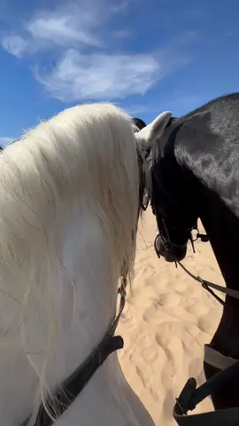 Beach time with friends #horsesoftiktok #horselover #foryourpage #beachday #horseriding 