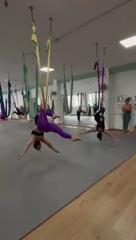 Presina nuova con la mia compagna di passi a due 🤍 eravamo piccole e ballavamo sui palchi, ora siamo grandi ma tutte le volte che la vedo entrare in sala per le mie lezioni, i miei ricordi volano lontano, alle emozioni più belle che abbia mai provato!  #flyingyogadance® #passoadue #aerialdance #dancersoftiktok #aerialpractice #aerialistsoftiktok #aerialhammock #tiktokitalia #yogainspiration #aerialsilks #yogapose 