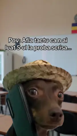 #fyp #viral #trending 