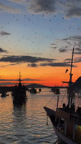 Sunset sambil tengok kelawar besar keluar dari sarang. Amazing view 🥳 #labuanbajo #indonesia #sunset #pulaukelorlabuanbajo 