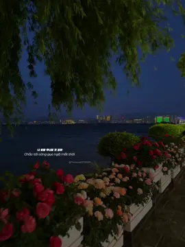 • Nếu tôi có cohoi gặp lại em môt lần nữa . #stillwithyou #lyrics #nhac #trungquoc #vietsub #thanhmai02112005 