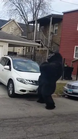 Chi Kong just being himself😂 #chicagomediatakeout #Chicagoturnup #chiefkeef #chikong #kingkong #chicagotiktok 